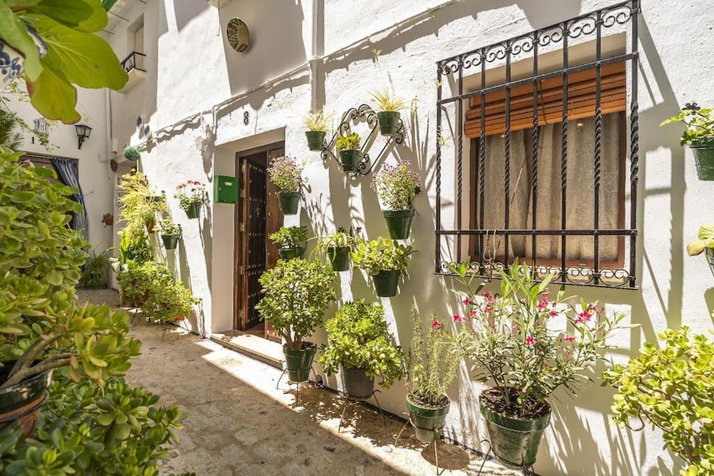 Casa Con Patio Y Terraza En Barrio Historico De La Villa, Junto Al Adarve Priego De Cordoba Exterior photo